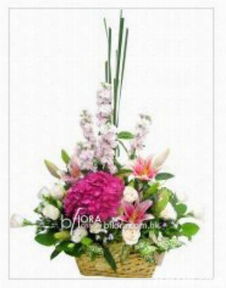 麗沁花藝 花卉、植物、美食與禮品的完美融合